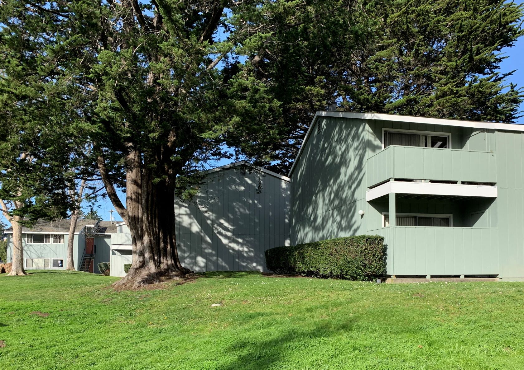 Shearwater Apartments photo 3